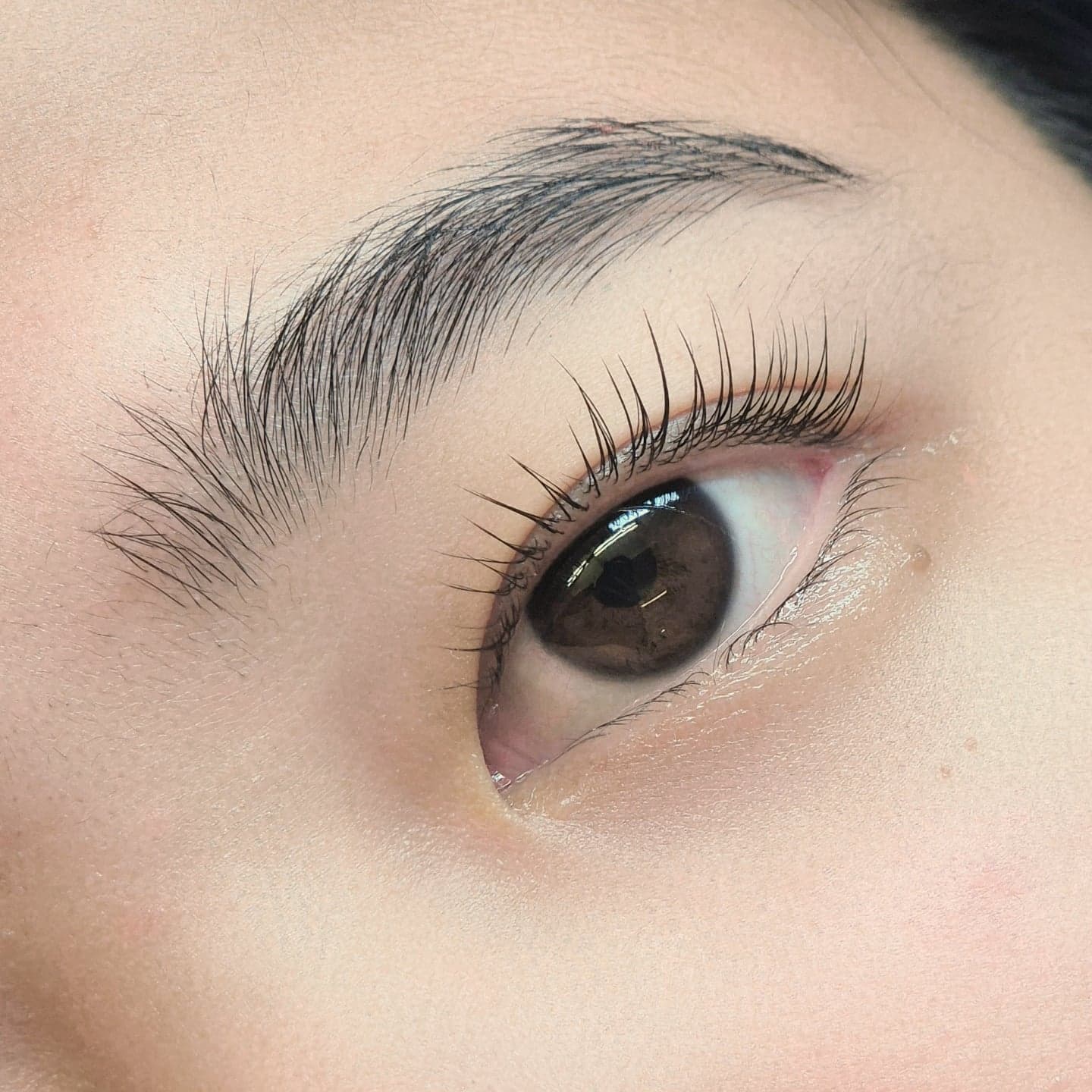 Lash extensions with a fluffy brow on a brown eye